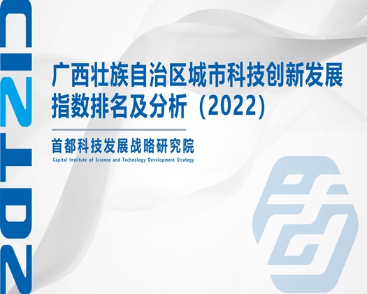 黑人尻庇视频【成果发布】广西壮族自治区城市科技创新发展指数排名及分析（2022）